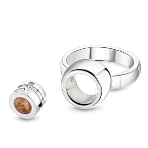 Ring met voorbeeld losse as module